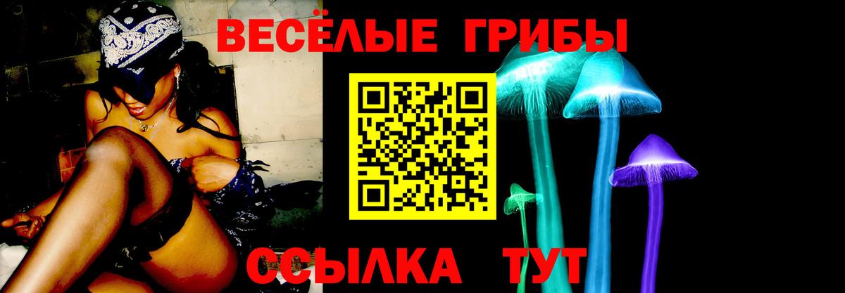 Псилоцибиновые грибы прущие грибы Кувандык